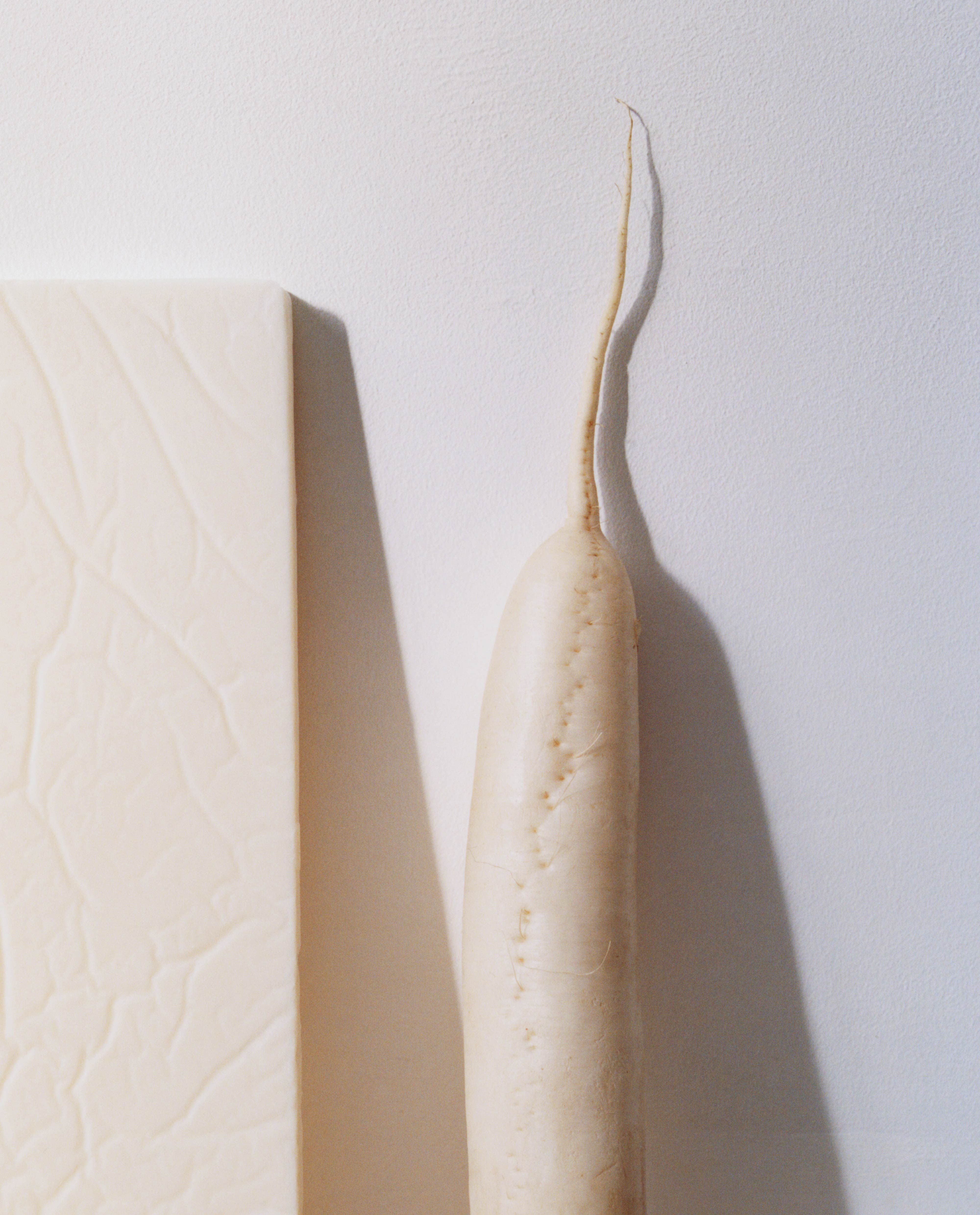 Minimal still life of a long ivory root leaning against a white wall beside a textured ivory panel.