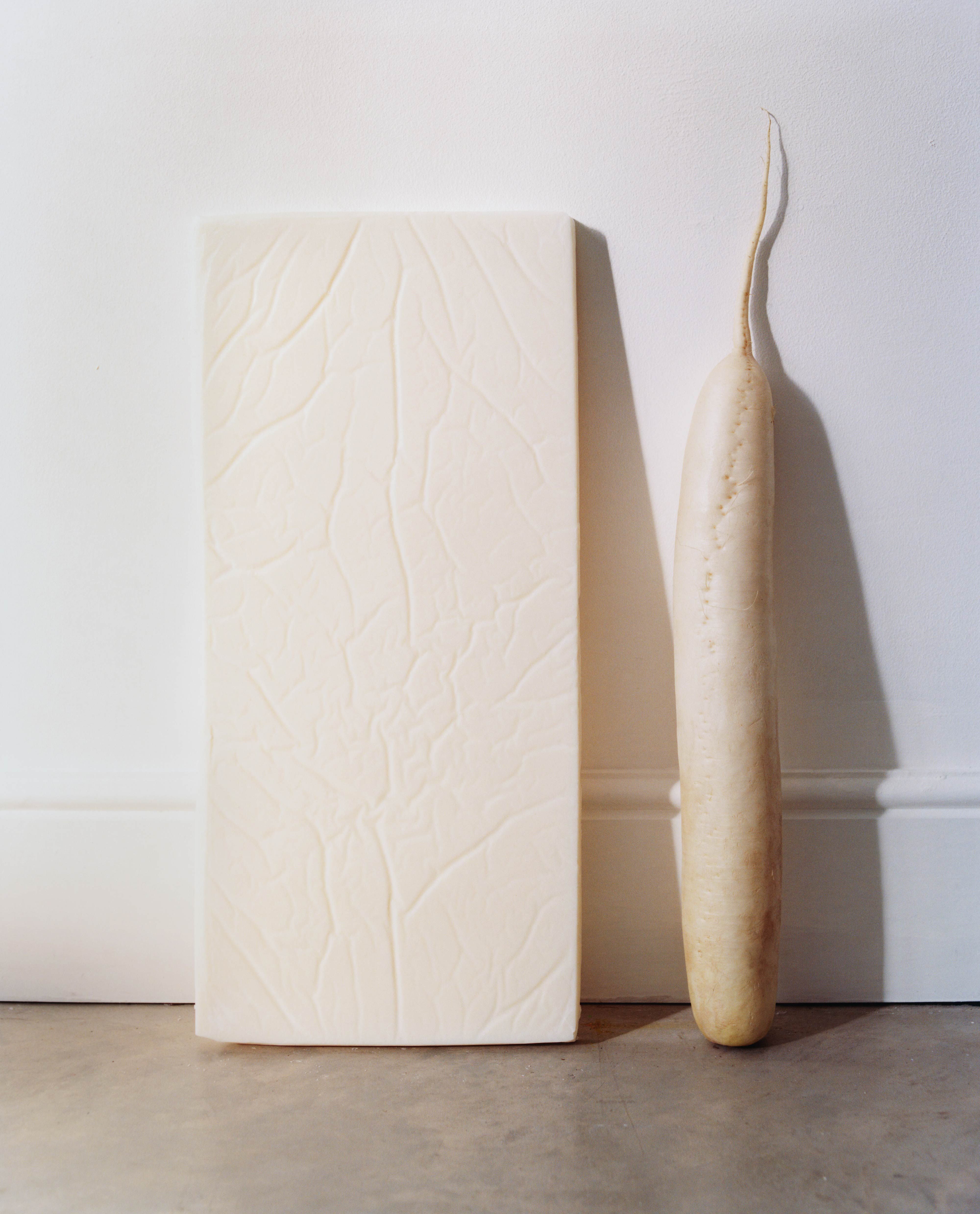 Minimal still life of a long ivory root leaning against a white wall beside a textured ivory panel.