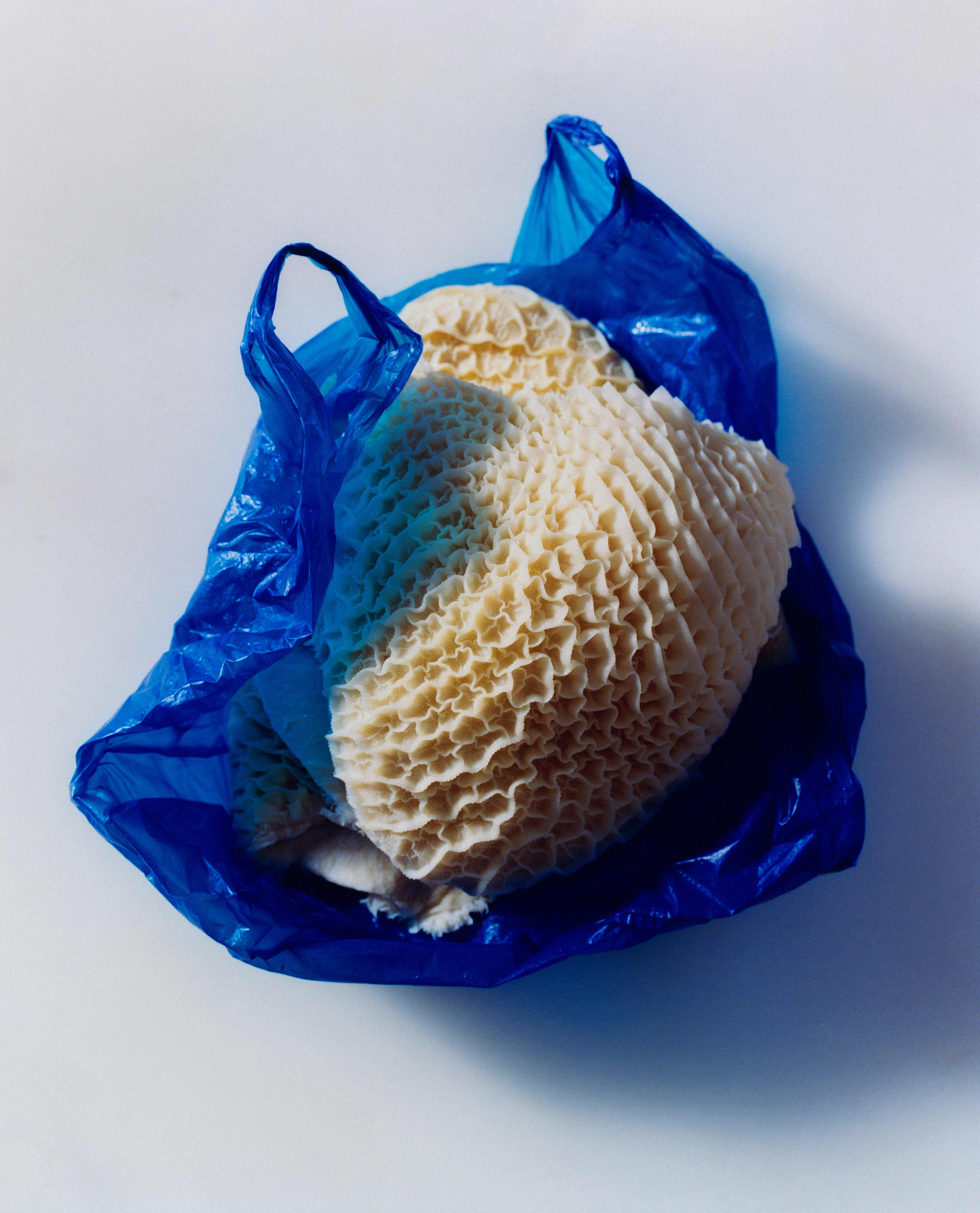 Honeycomb-textured ivory object nestled in a crumpled blue plastic bag on a neutral background.