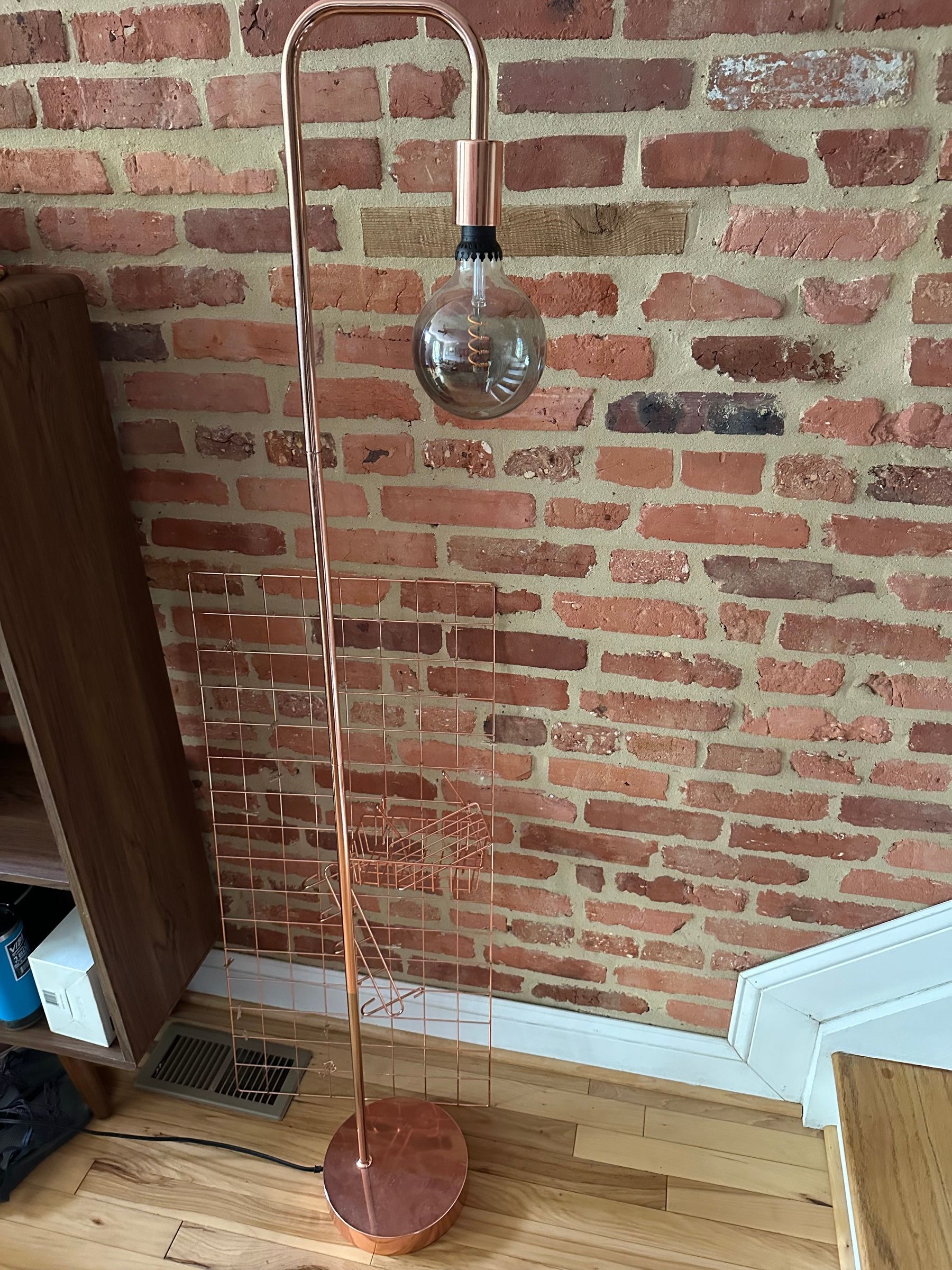 Rose Gold Floor Lamp with XL Edison Bulb