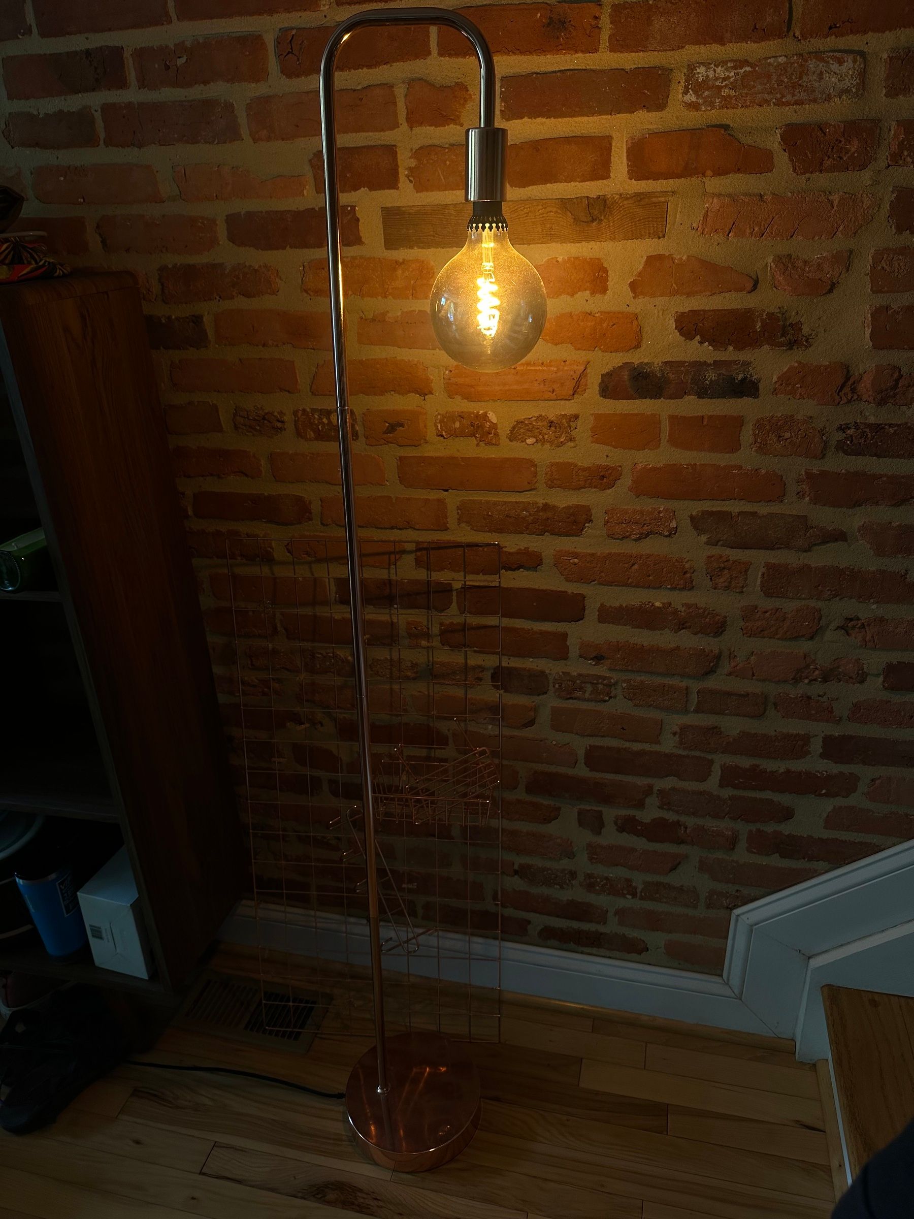 Rose Gold Floor Lamp with XL Edison Bulb