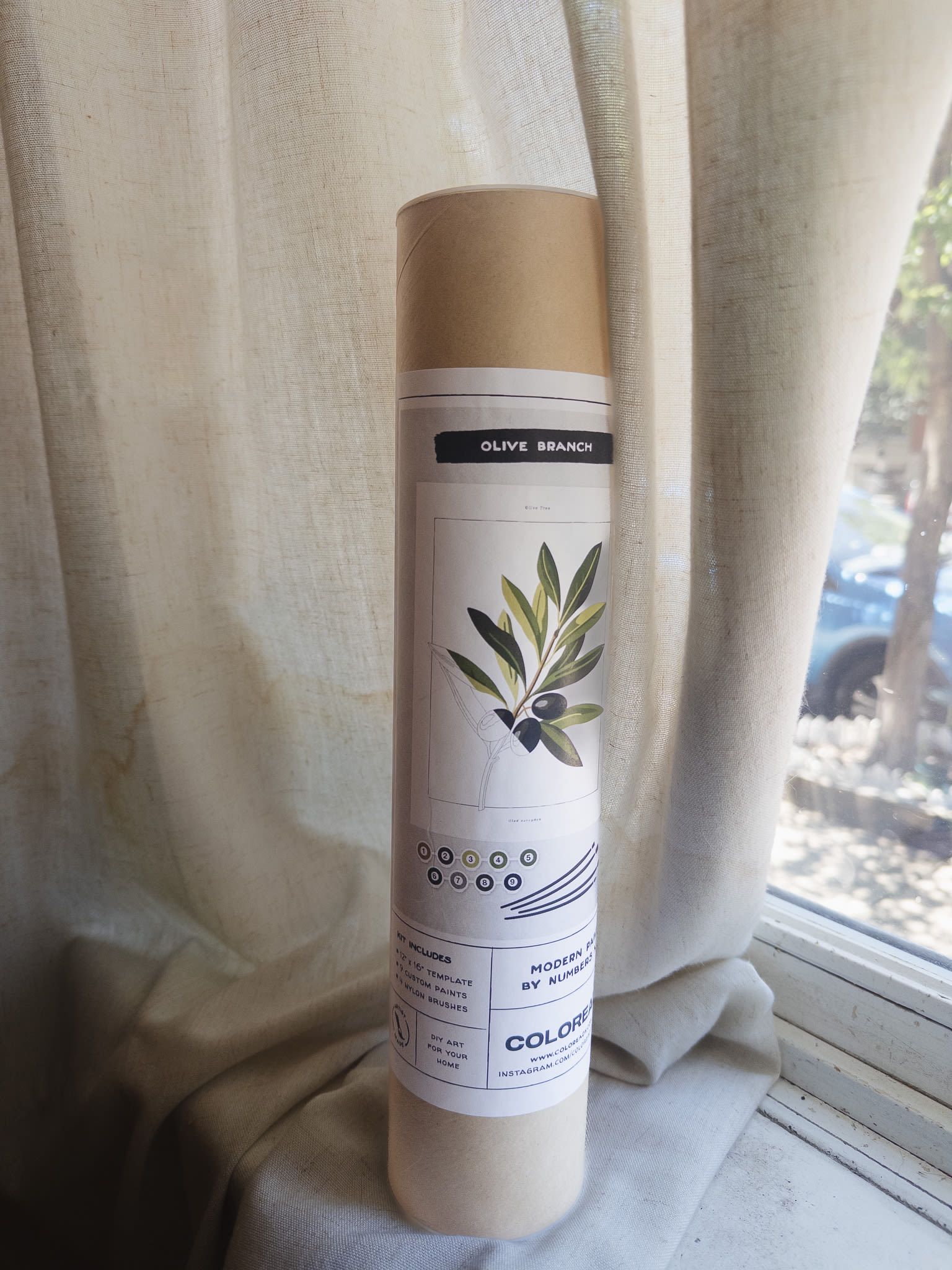 Paint by Numbers: Olive Branch