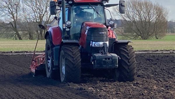 Farm Work Spring 2021