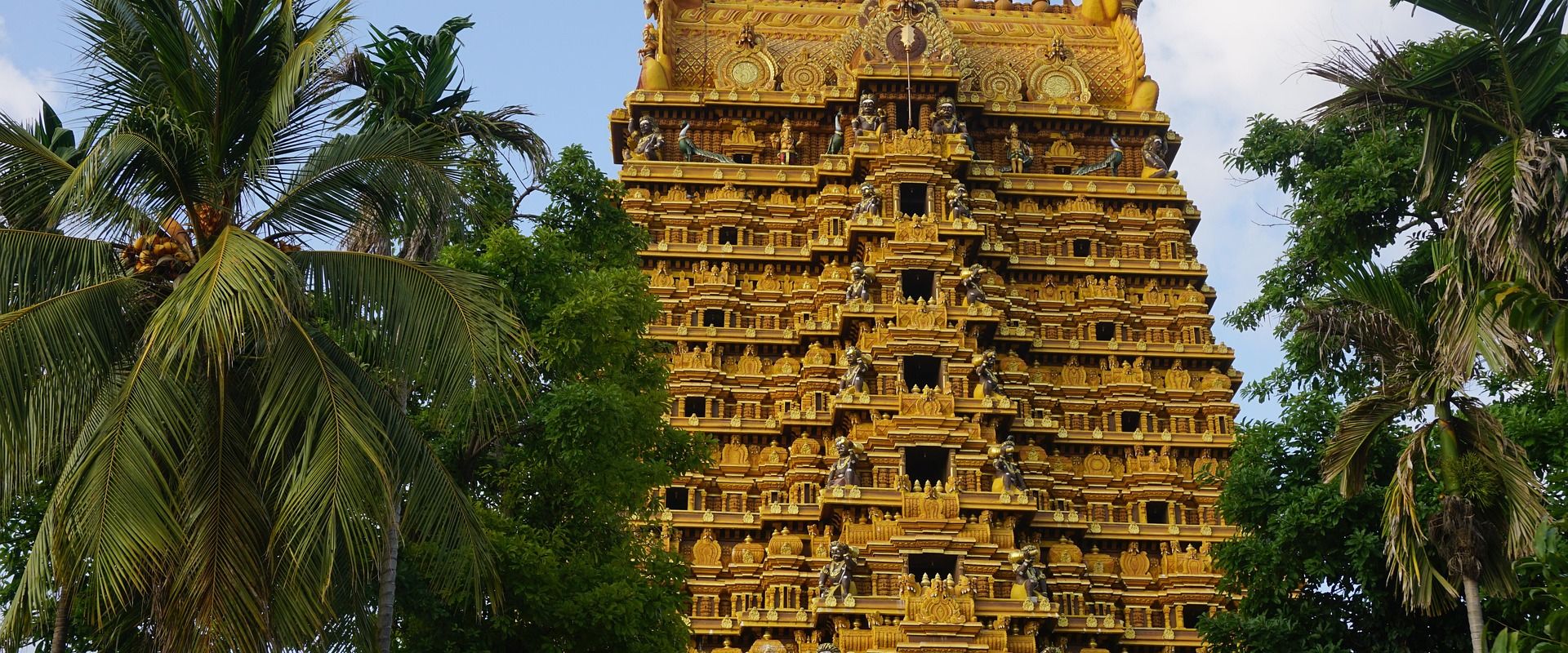 Towering golden gopuram of Nallur Kandaswamy Temple in Jaffna, Sri Lanka, featuring intricate multi-tiered Dravidian architecture with detailed sculptures of Hindu deities, surrounded by tropical palm trees