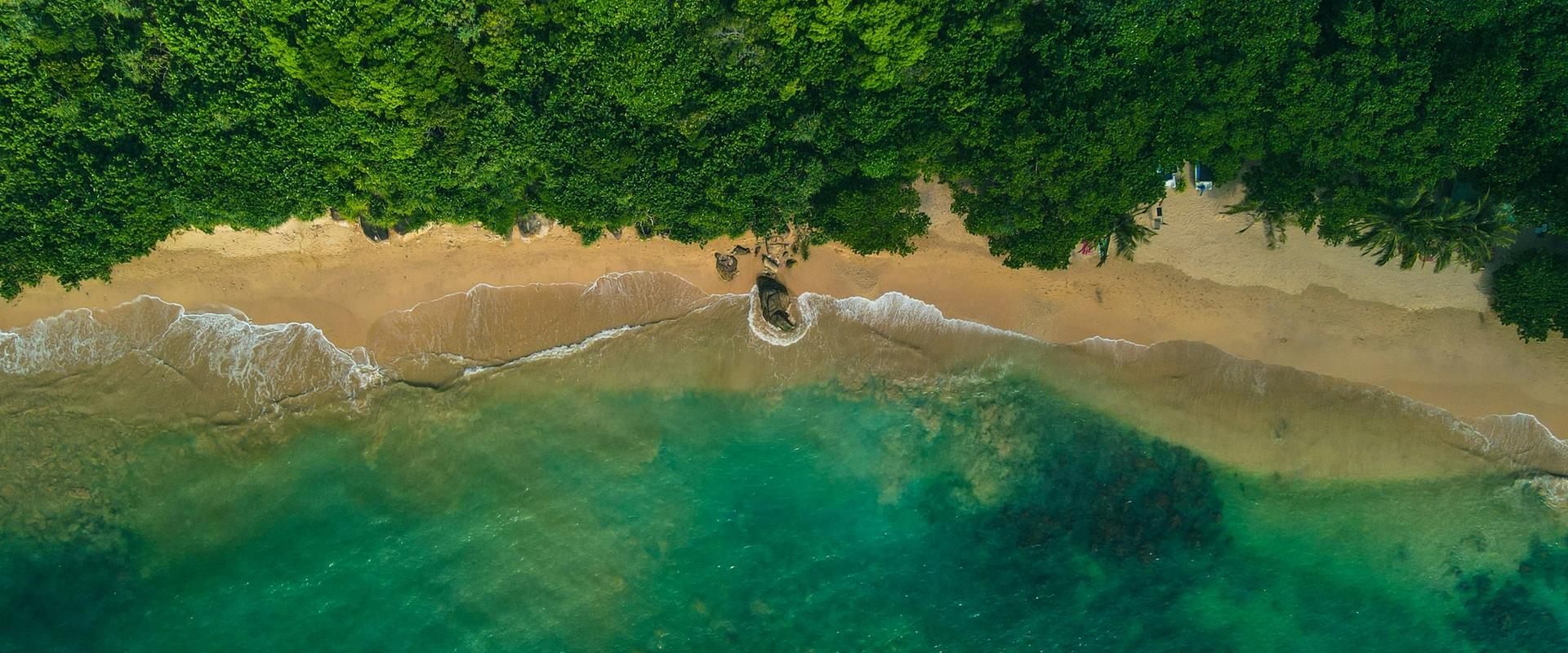 Aerial drone view of Jungle Beach with turquoise water, golden sand, and dense tropical jungle meeting the shoreline, Unawatuna, Sri Lanka