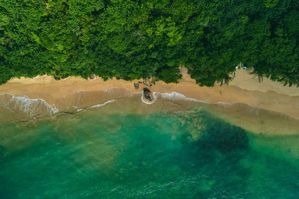 Aerial drone view of Jungle Beach with turquoise water, golden sand, and dense tropical jungle meeting the shoreline, Unawatuna, Sri Lanka