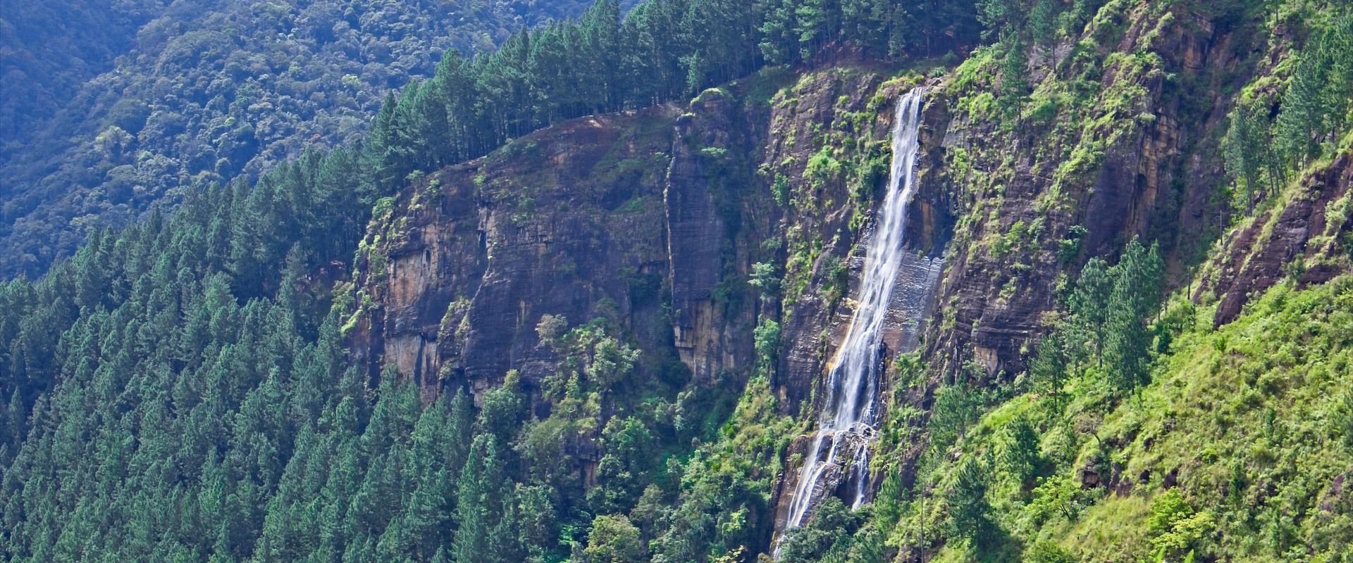 A tall waterfall cascading down a rocky cliff face surrounded by dense pine forest and lush green hills at Bambarakanda Falls, Sri Lanka's highest waterfall, central highlands