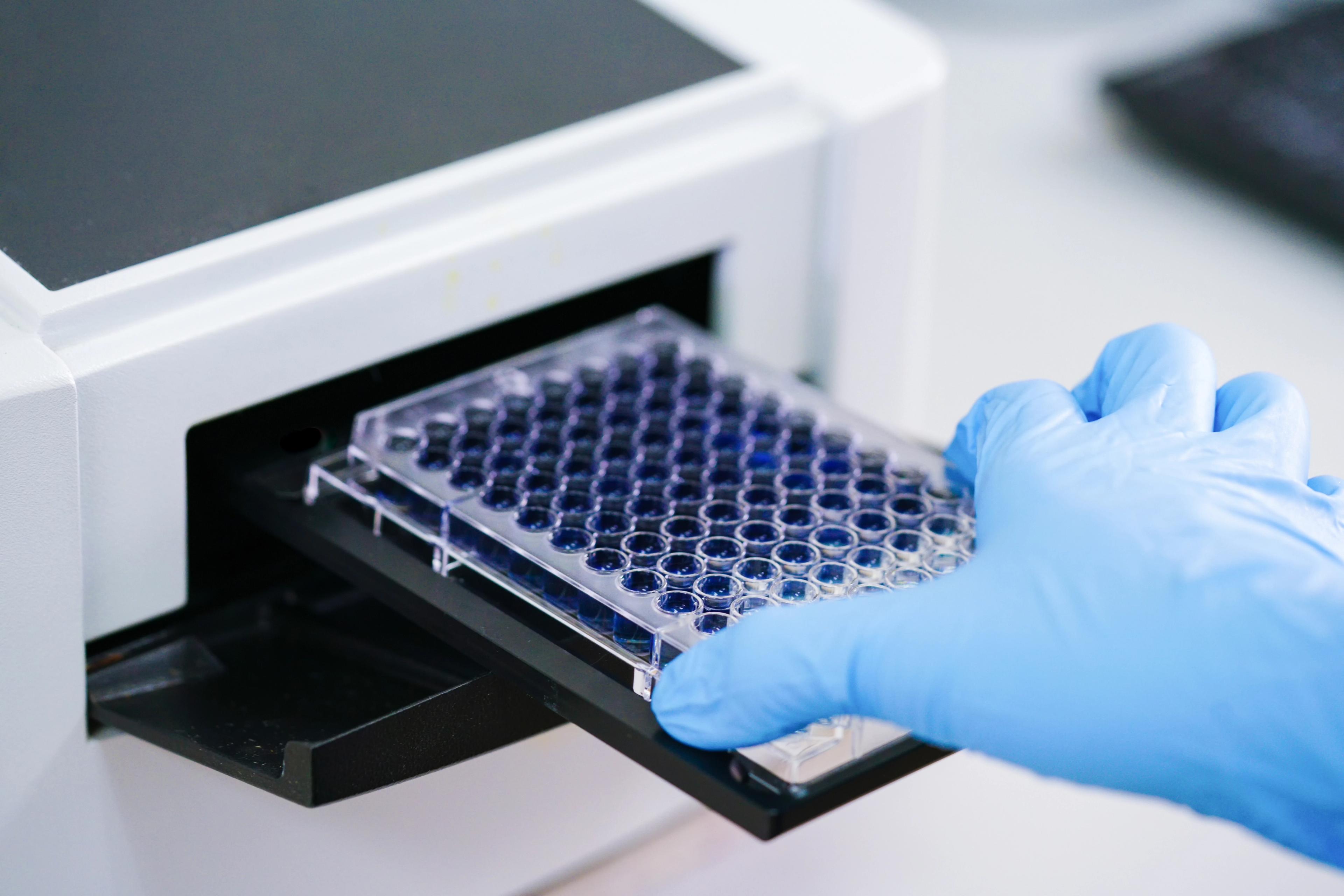 Close-up of a gloved laboratory technician loading a clear multi-well microplate containing liquid samples into an immunoassay analyser, illustrating automated sample processing, assay preparation, and diagnostic testing in a laboratory environment.