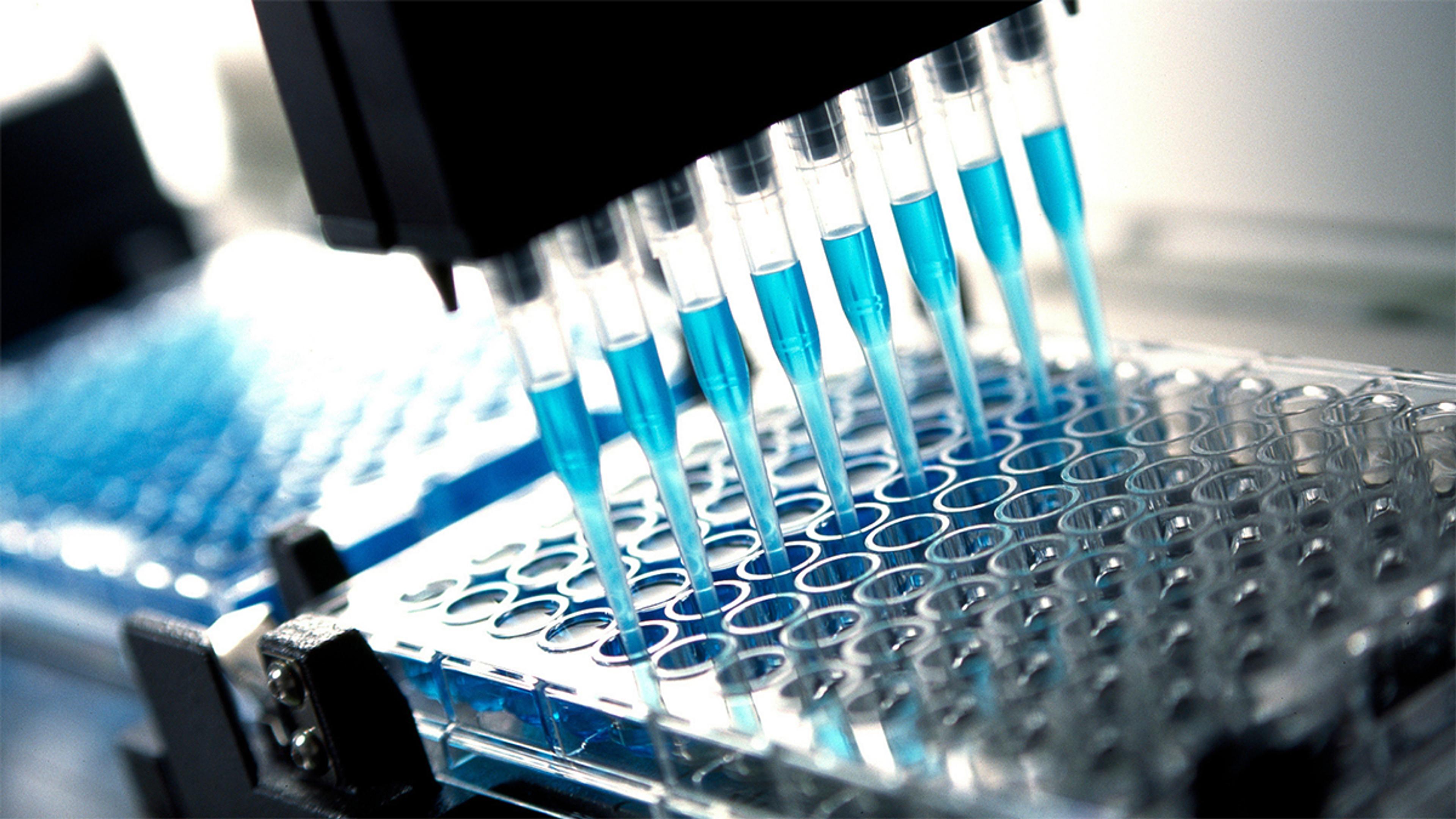 A close-up image of an automated liquid handling system dispensing blue liquid into a transparent 96-well microplate. Multiple pipette tips are aligned, simultaneously delivering precise volumes into the circular wells, commonly used in laboratory testing, diagnostics, and research applications
