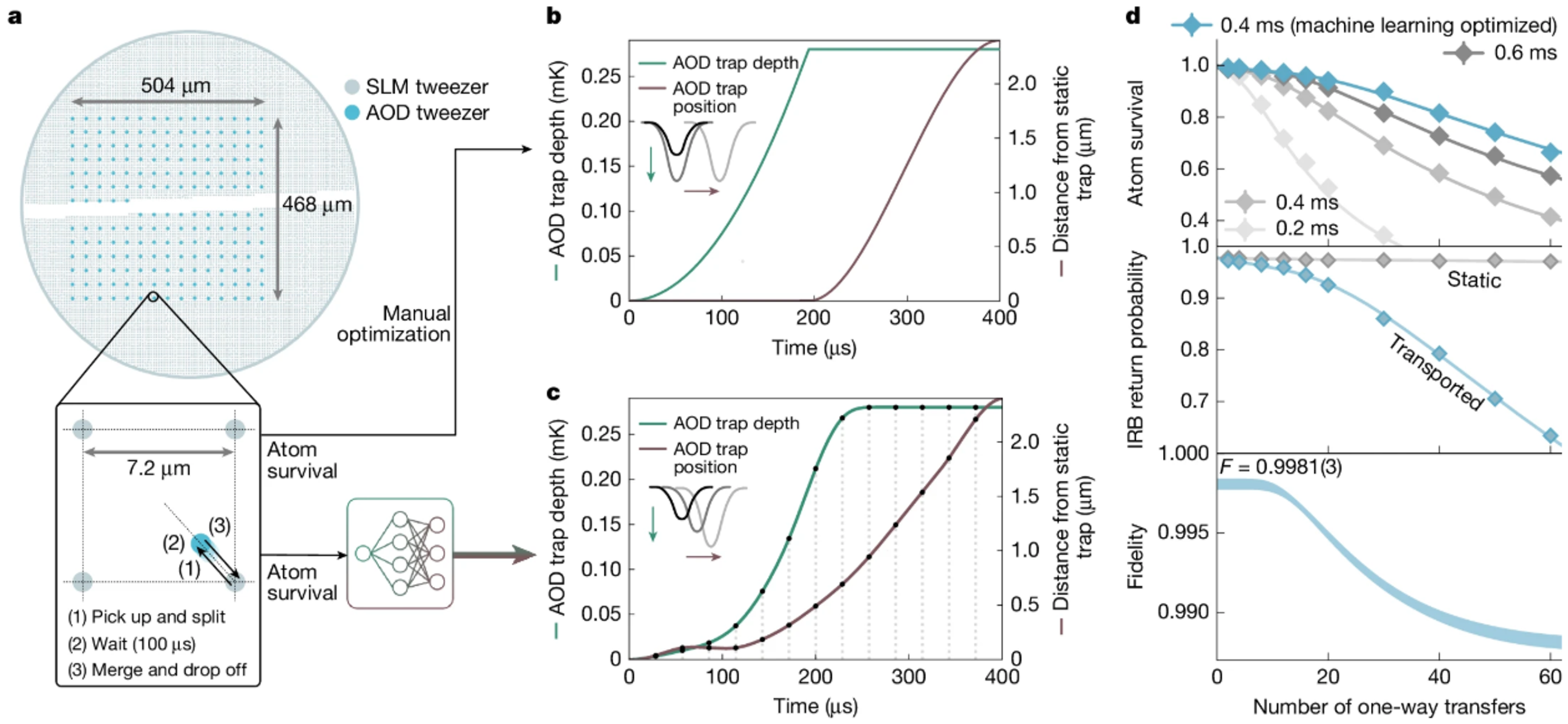 Multi-panel scientific figure showing AOD and SLM optical tweezer arrays, timing sequences for atom transfer steps, plots of AOD trap depth and position versus time, and graphs of atom survival/return probability and transfer fidelity versus number of transfers.