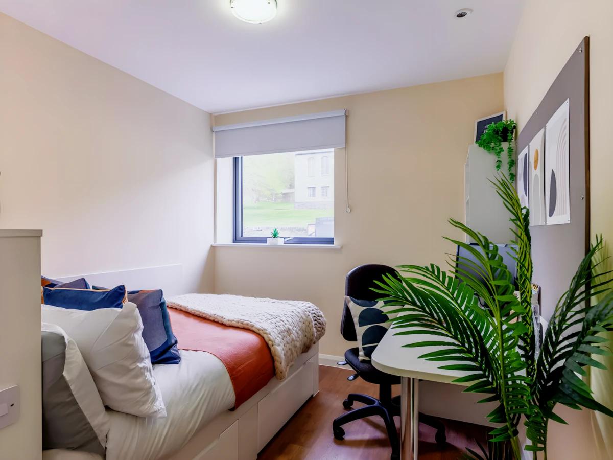 Property preview 4