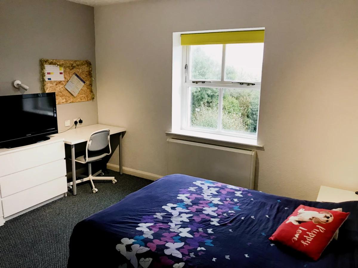 Property preview 2