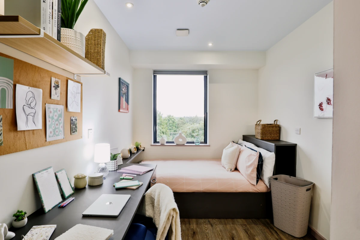 Property preview 2