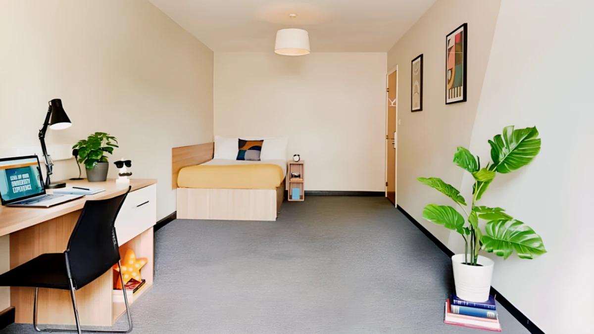 Property preview 3
