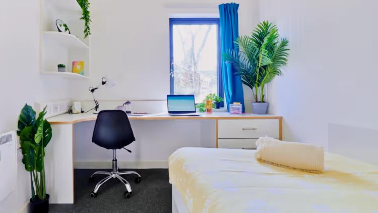 Property preview 2