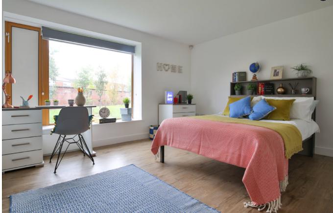 Modern student bedroom with a double bed, study desk, shelving, and a large window overlooking landscaped grounds.