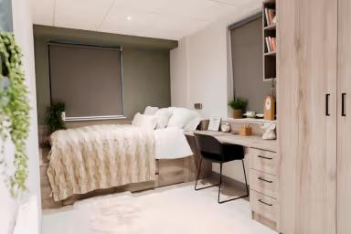 Property preview 2