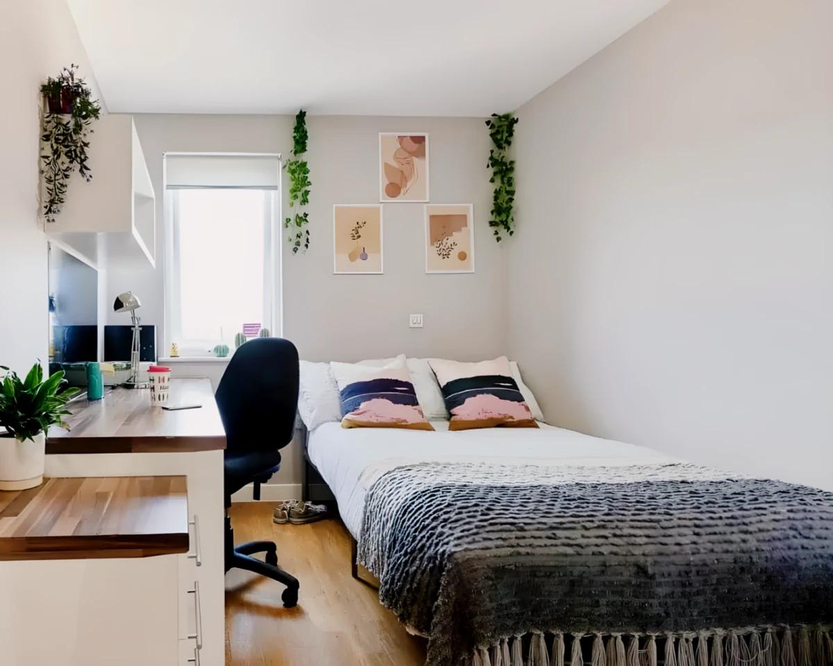 Property preview 4