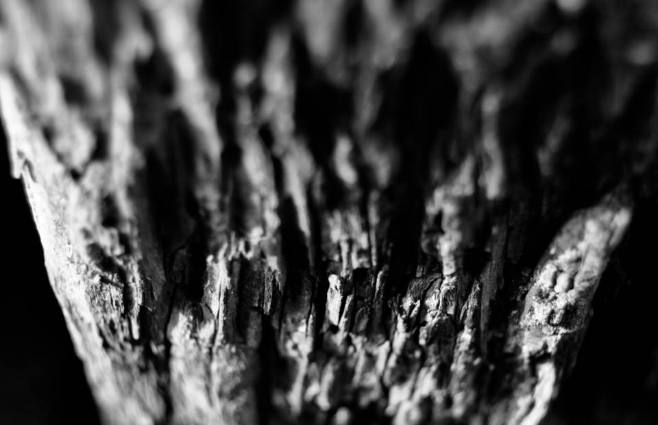 Untitled 9