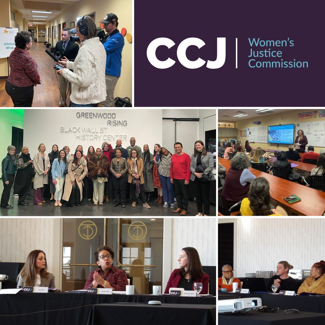 The Council for Criminal Justice