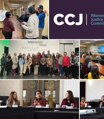 The Council for Criminal Justice