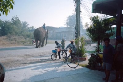 Ban Lao, Thailand, March 2023
