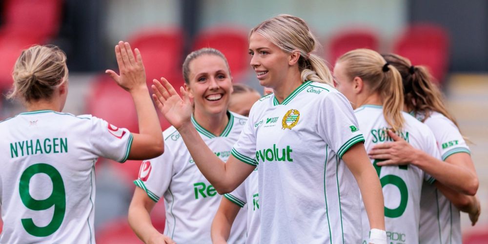 Bajen malde ner motståndet i Småland