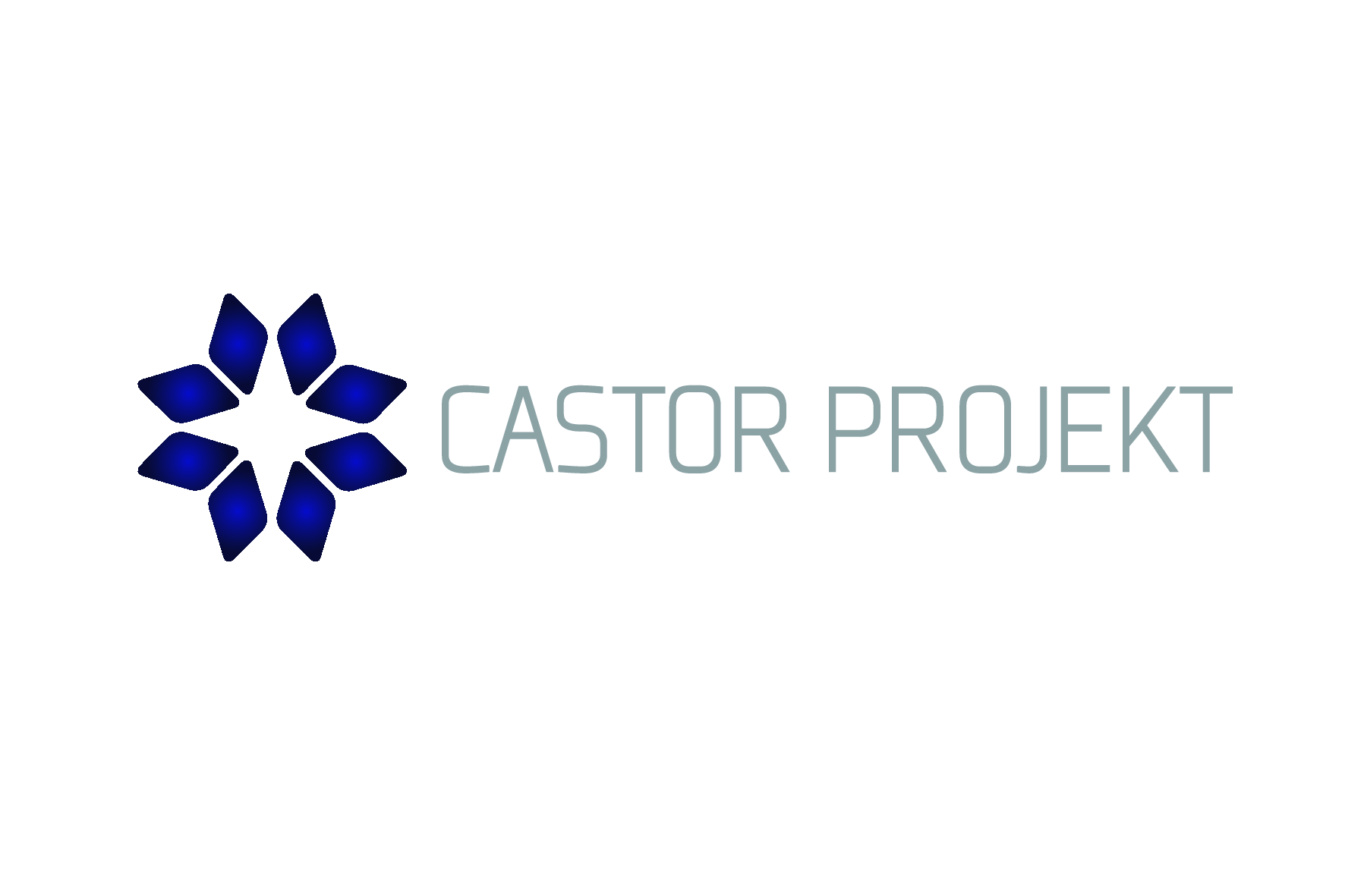 Castor Projekt