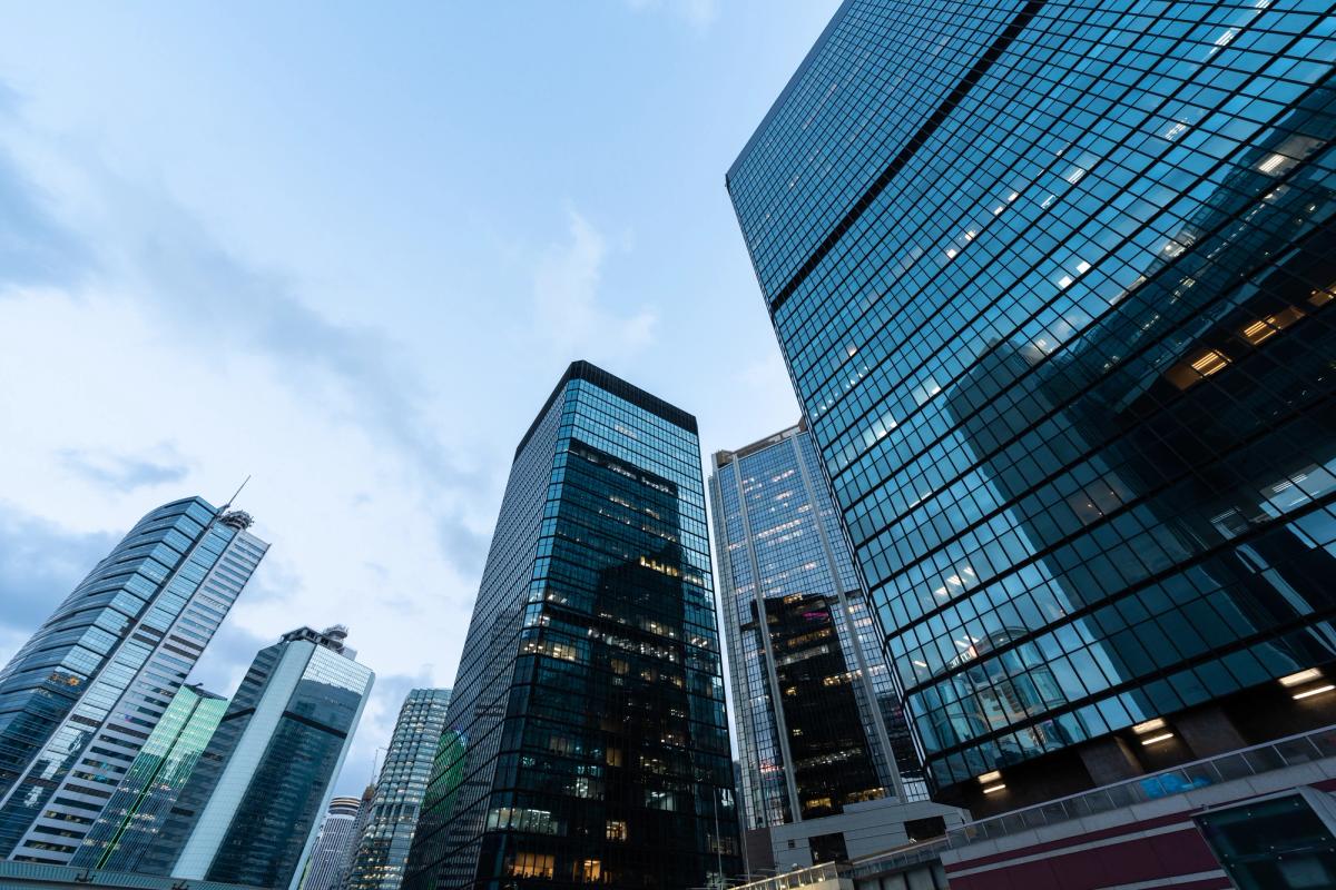 Price-Fixing Litigation and the Hidden Impact of Market Manipulation