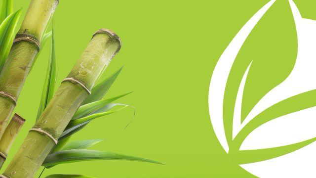 Outdoor “Use fertilizantes FertGaia e colha bons negócios”