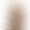 Made By Charlie