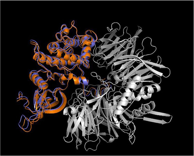 Cover photo for Molecular Glue-Design-Evaluator (MOLDE): An Advanced Method for In-Silico Molecular Glue Design