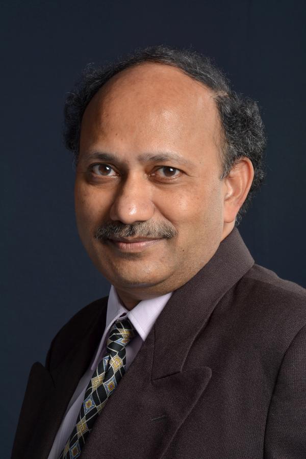 Ramanarayanan G.V.