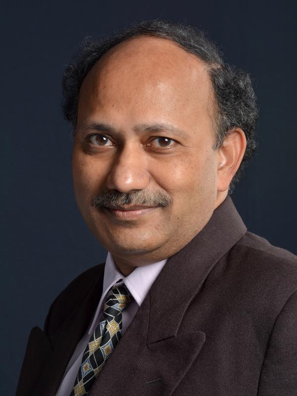 Ramanarayanan G.V.