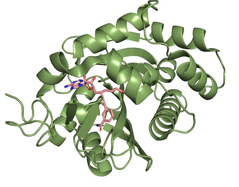 Cover photo for AI-Driven Discovery of a First-in-Class Candidate for Pancreatic Cancer