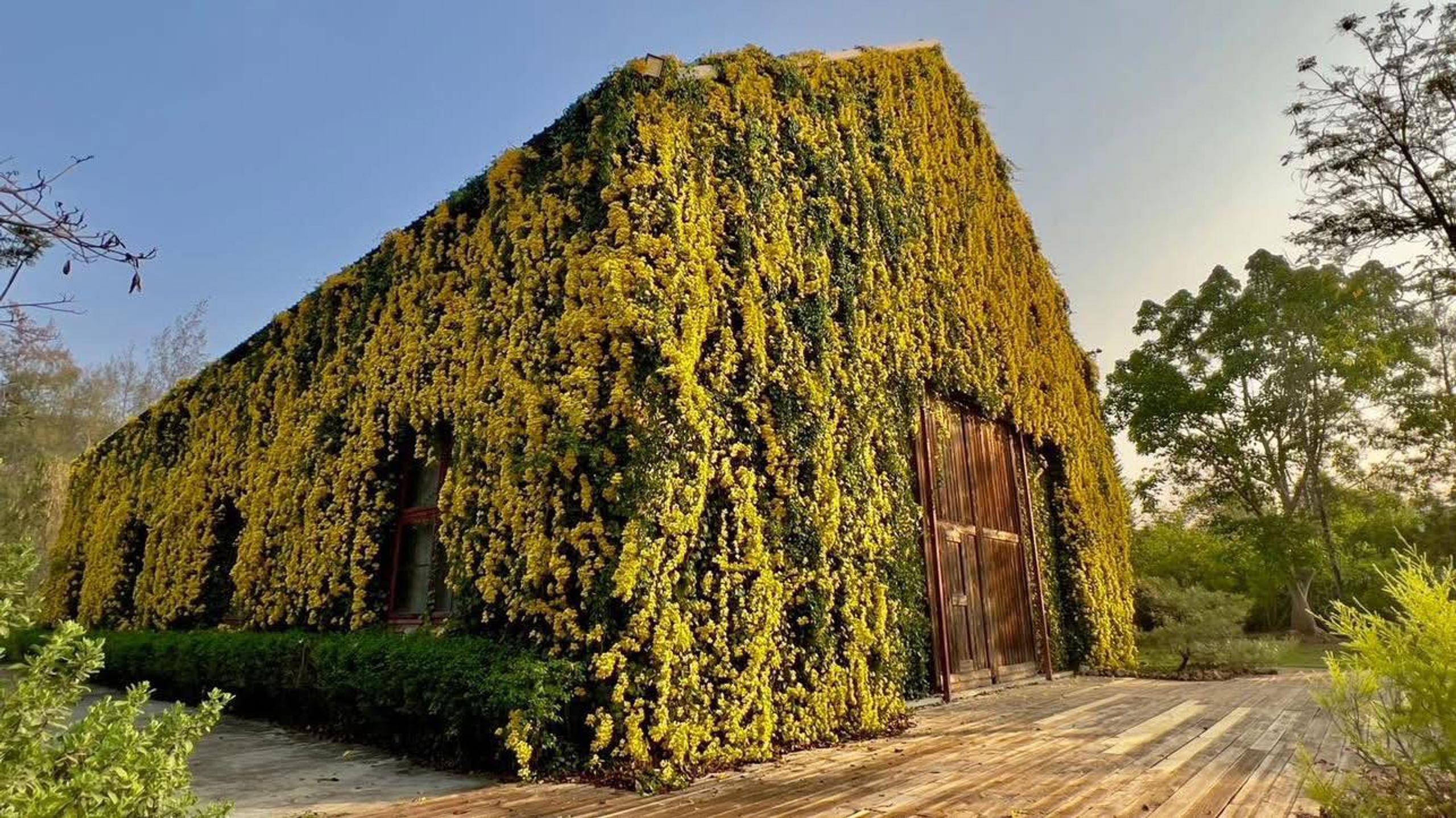 The Birder's Lodge