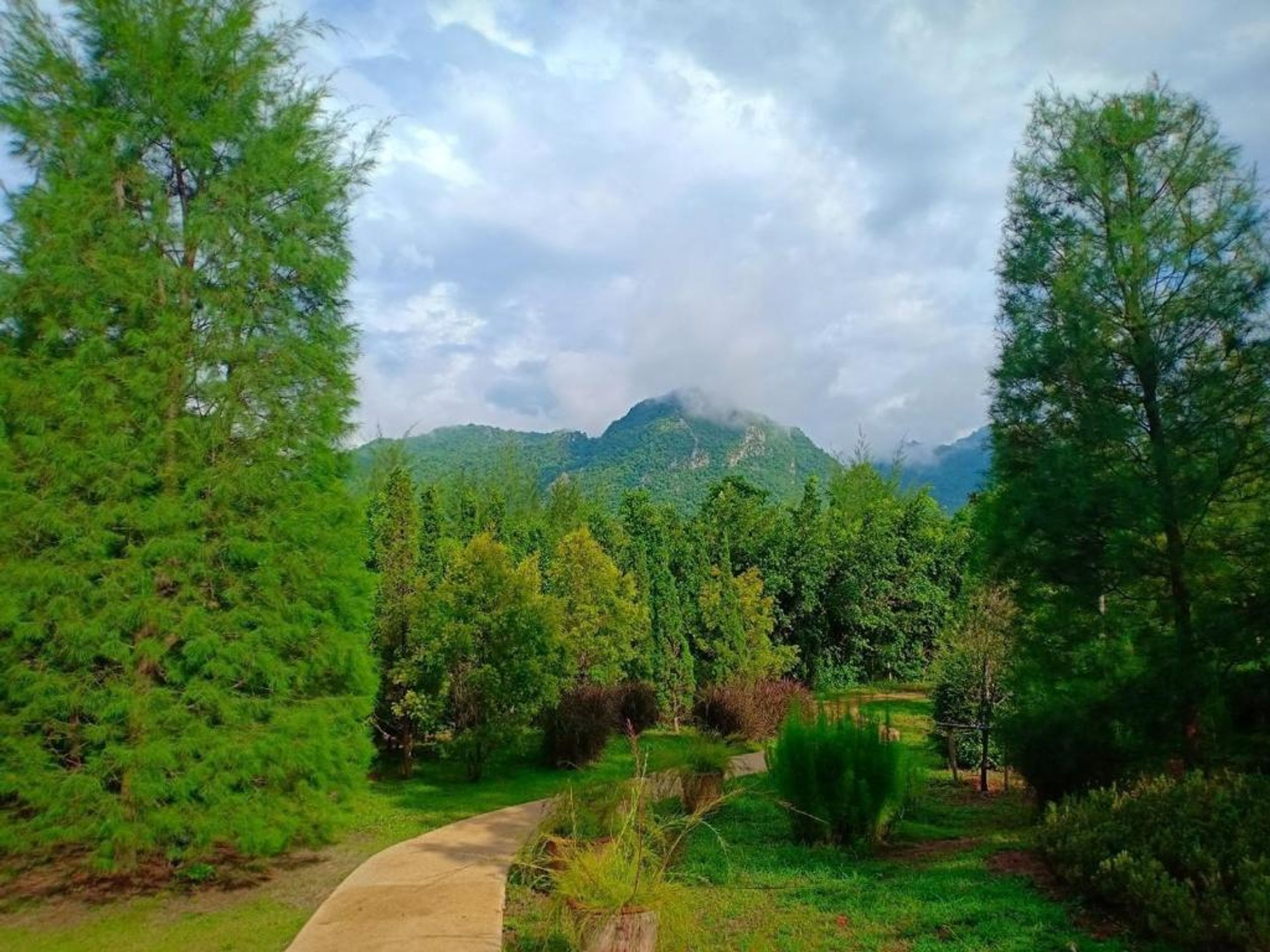 The Birder's Lodge