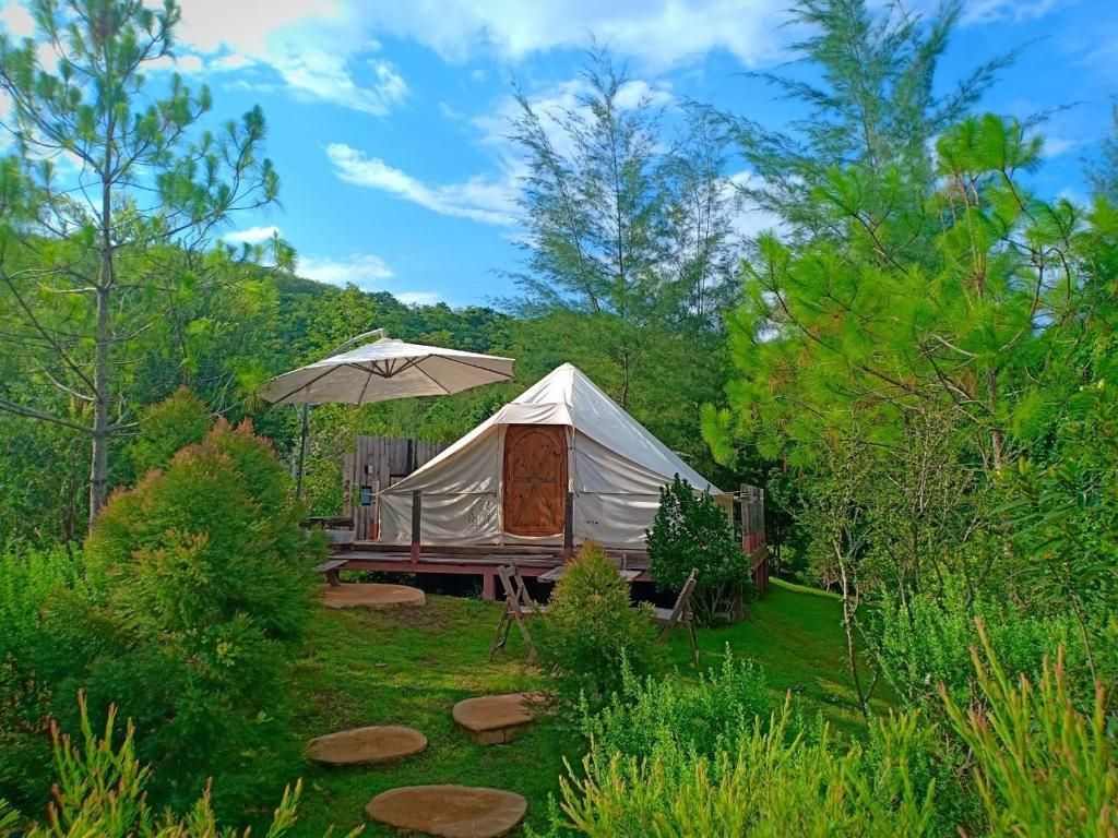 The Birder's Lodge