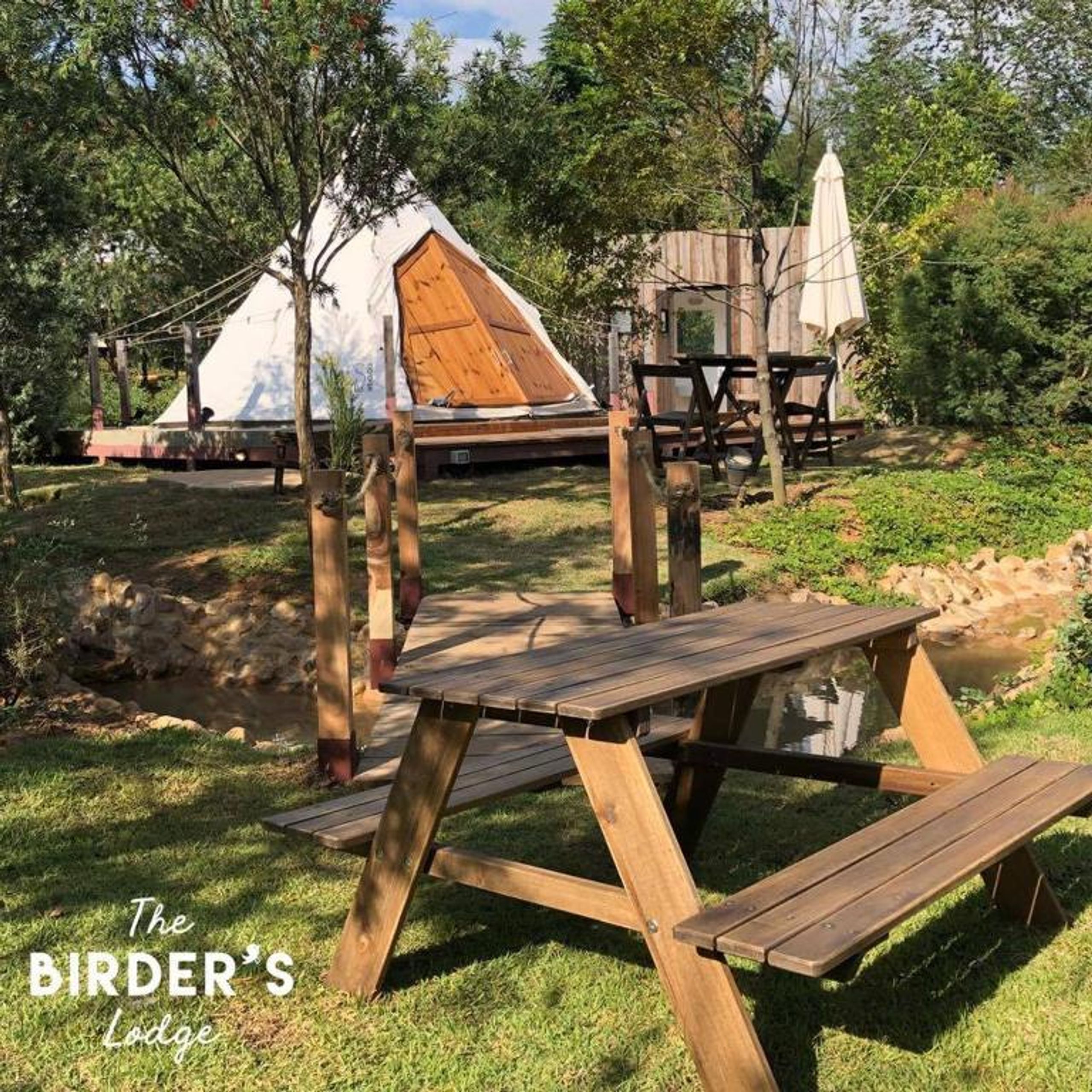 The Birder's Lodge