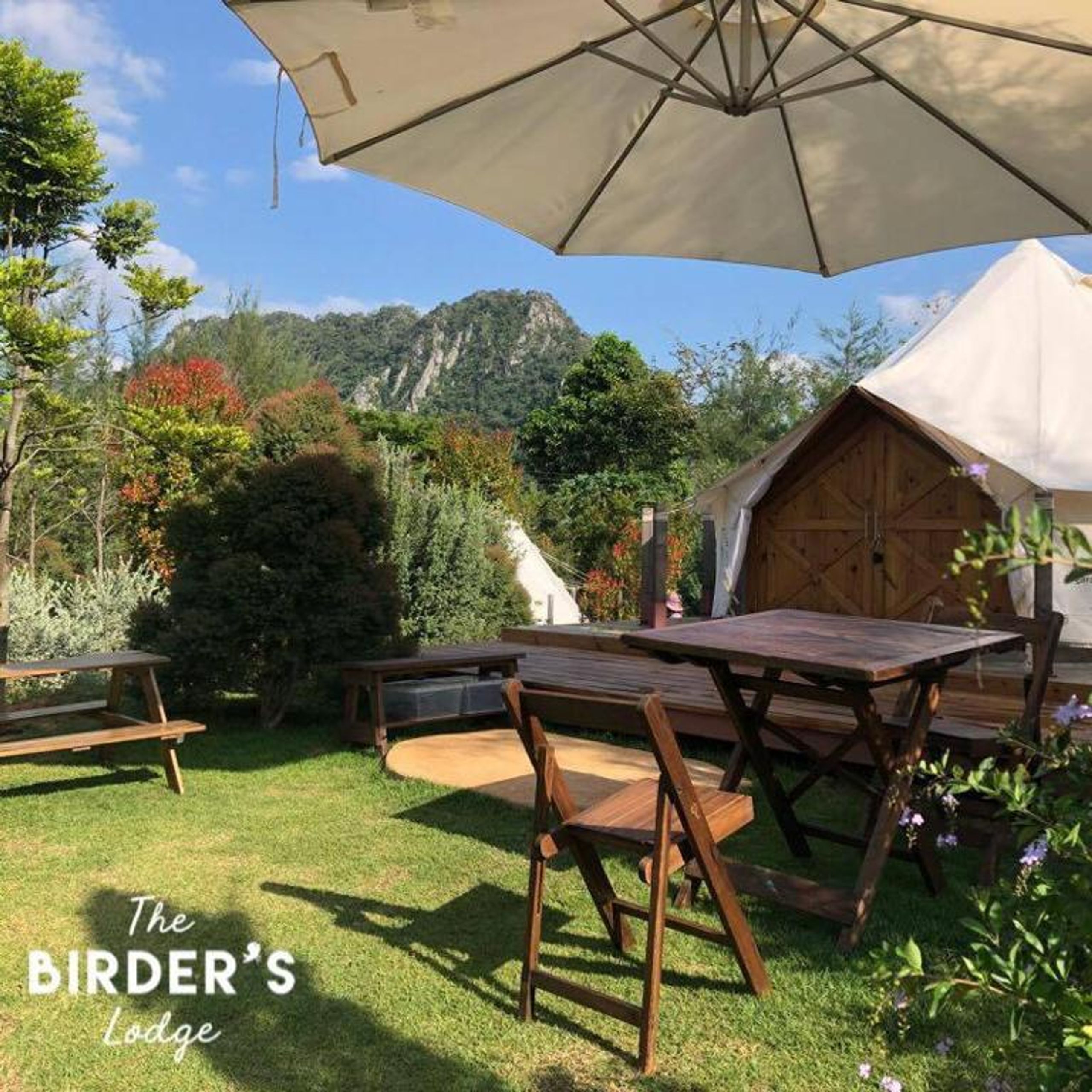 The Birder's Lodge