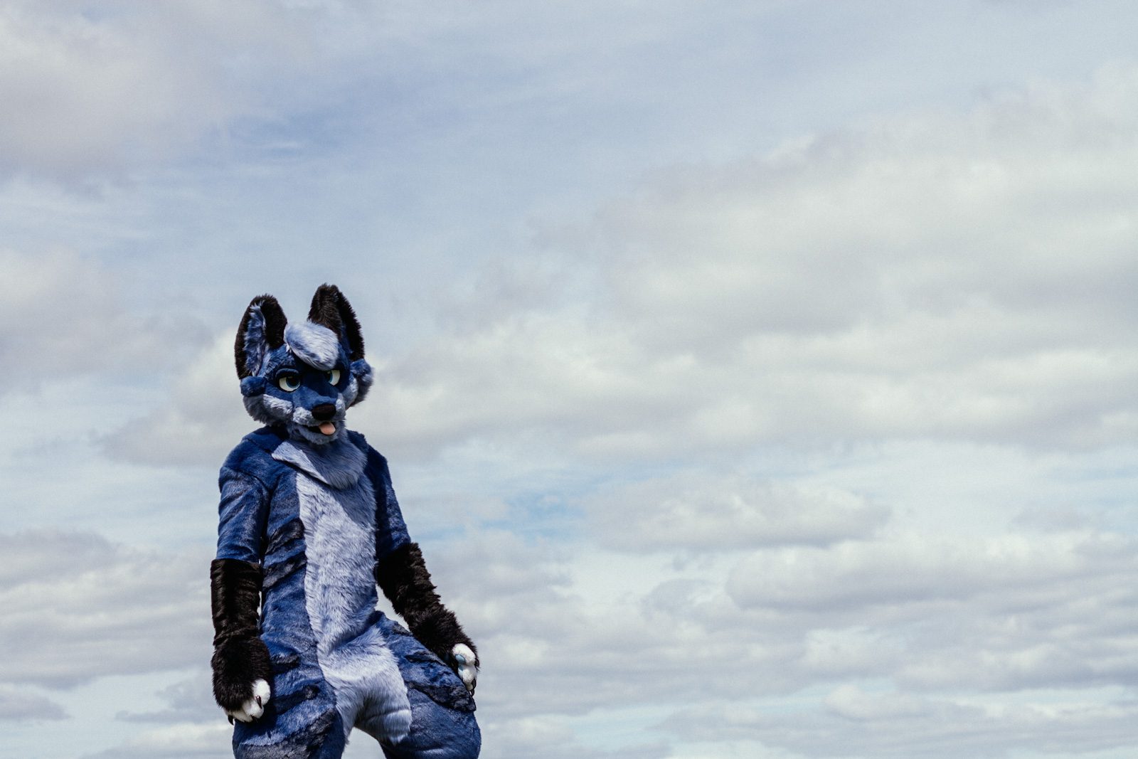 A photo of furry Zaff the fox in the clouds