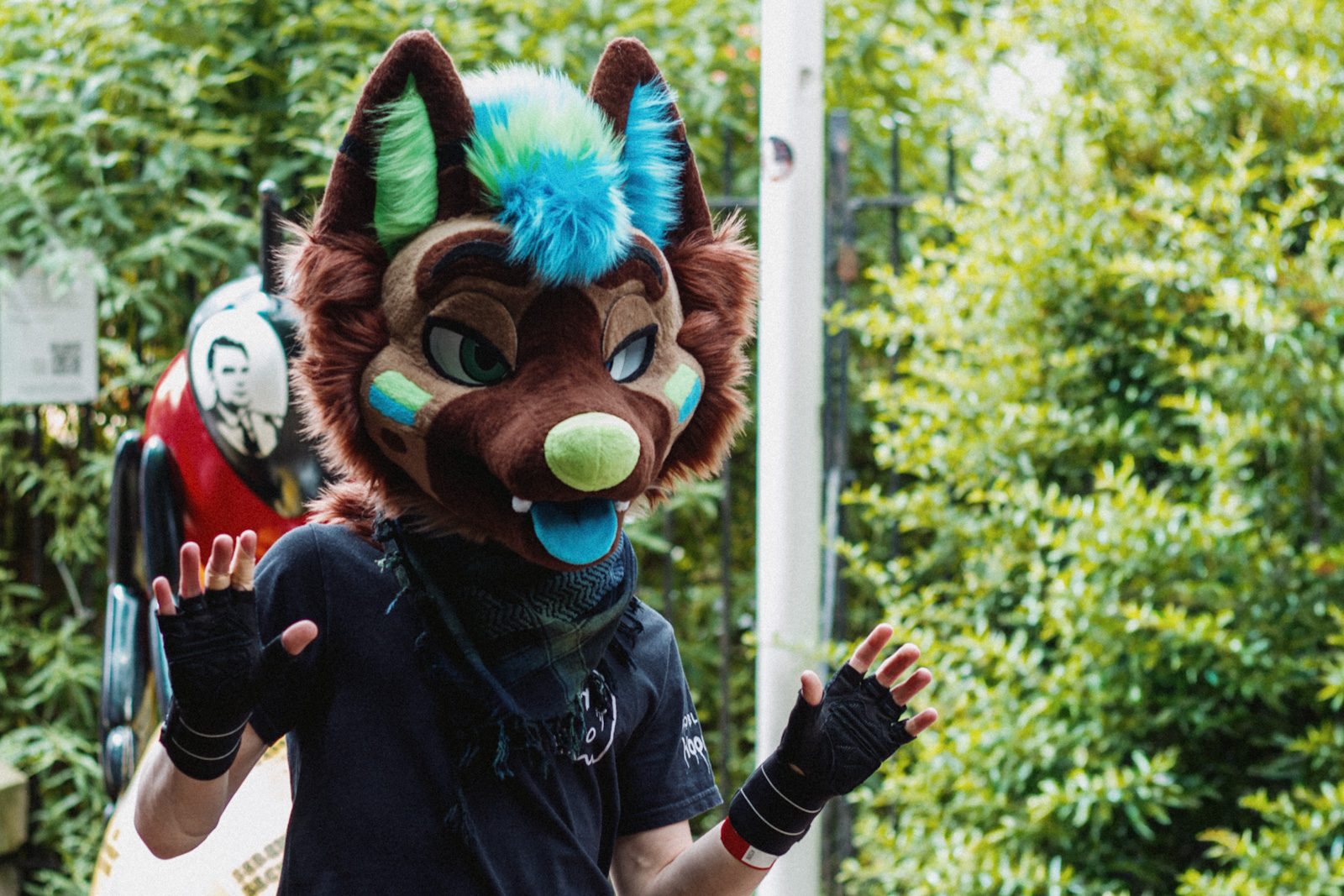 A photo of furry Dex