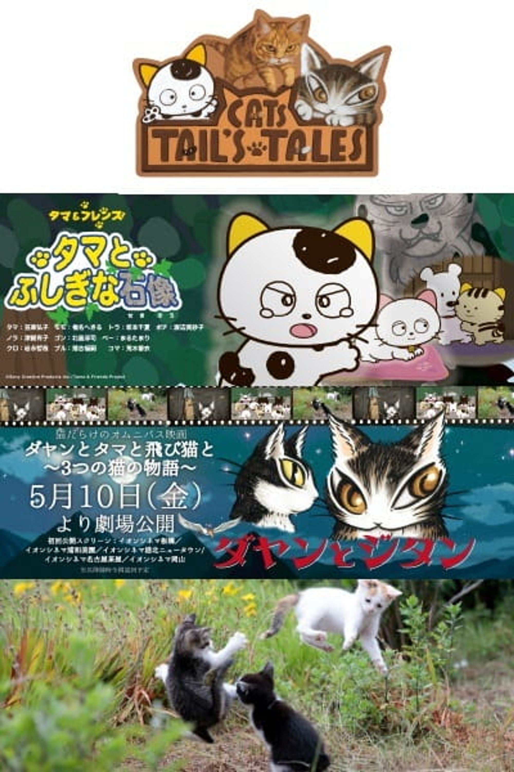 Cats Tail's Tales