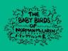 The Baby Birds of Norman McLaren