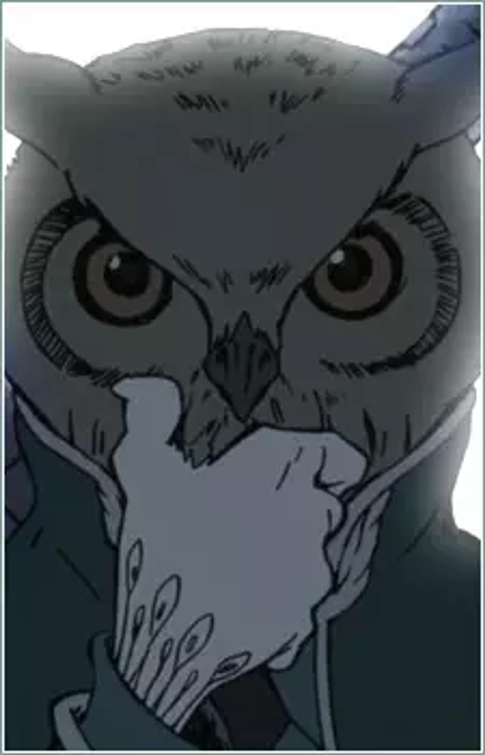 Owl Man