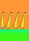 Marching Giraffes