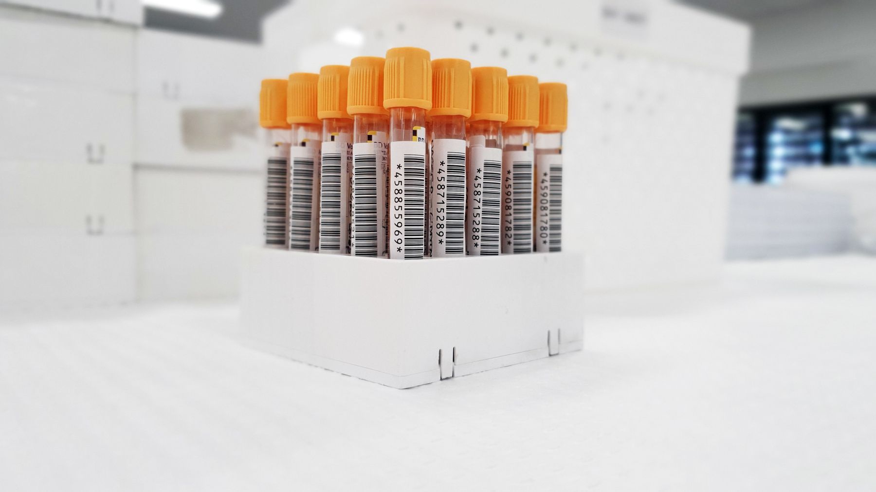 Laboratory sample tubes in a rack.