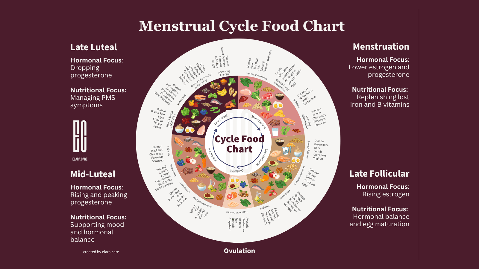 menstrual cycle food chart 