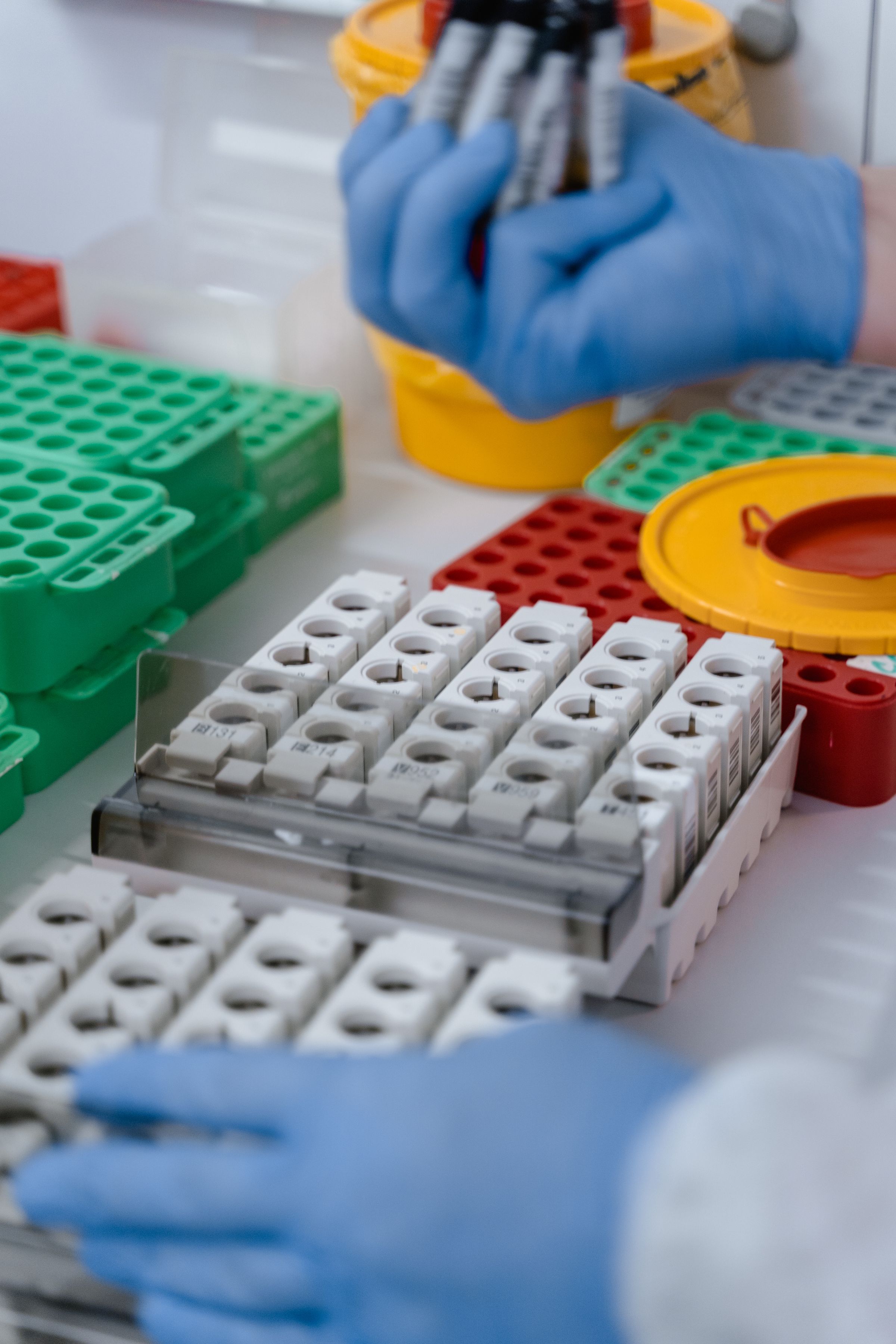 Gloved hands handling sample tubes in a laboratory.