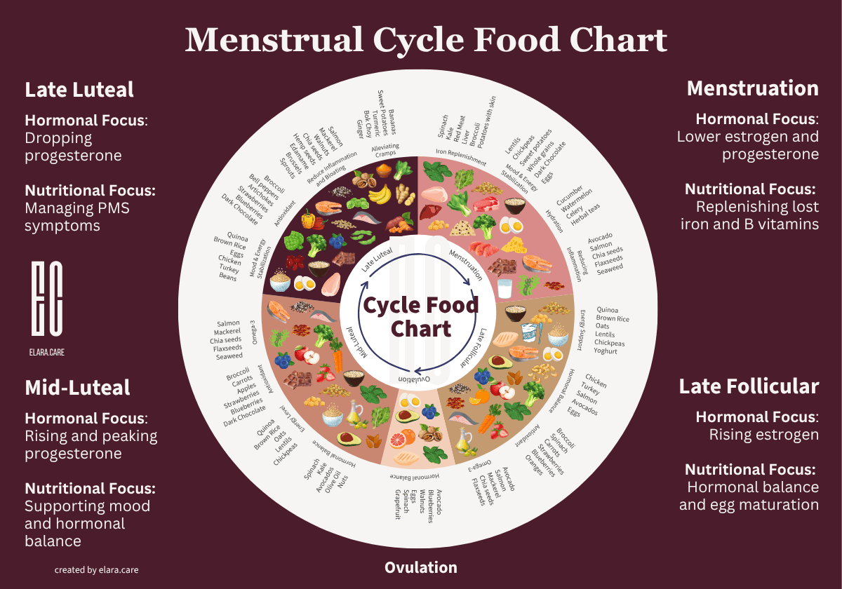 menstrual cycle food chart